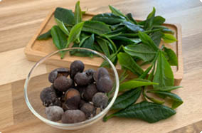 Tea seed and leaf